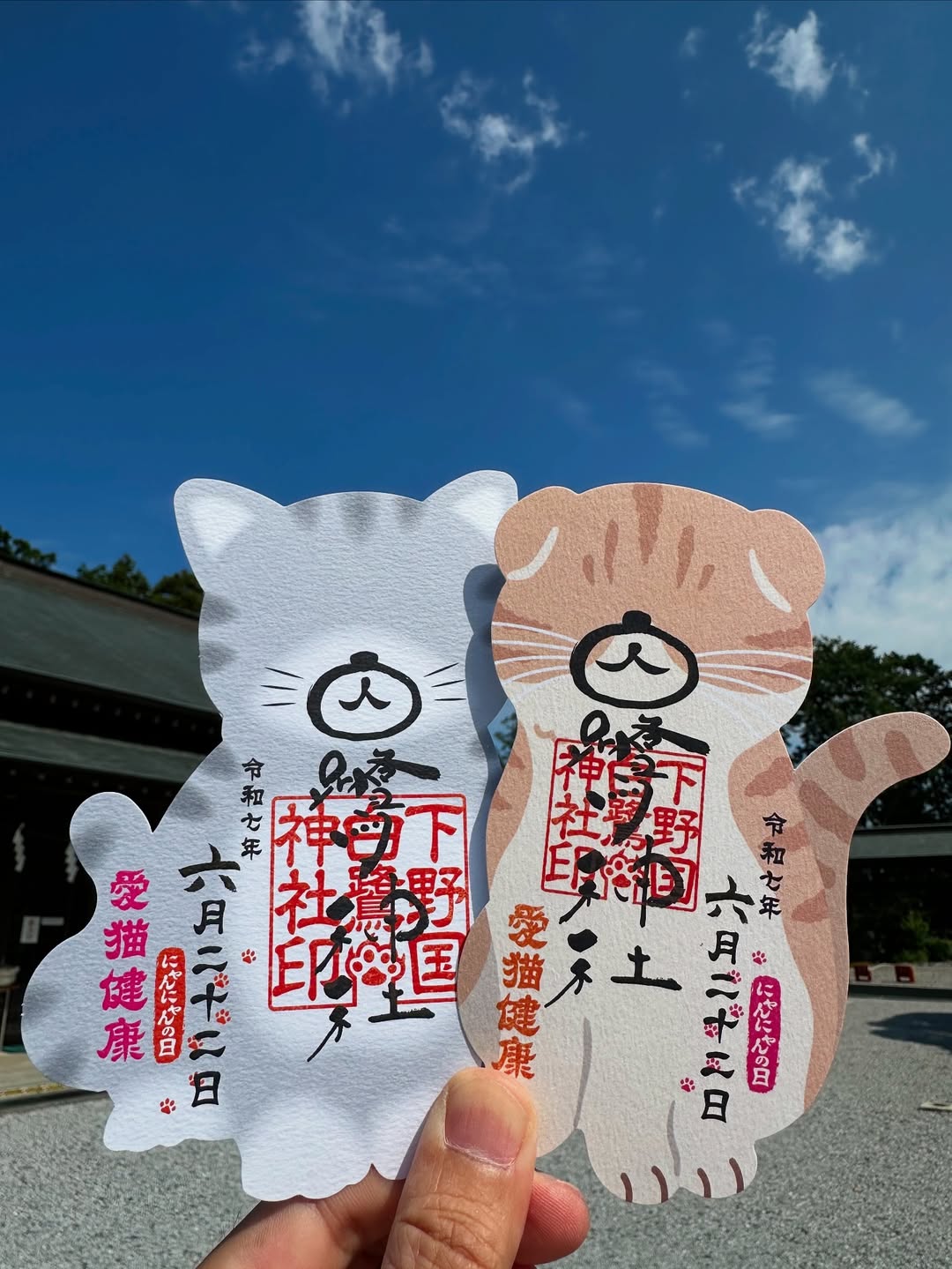 にゃんにゃん御朱印のご案内🐈