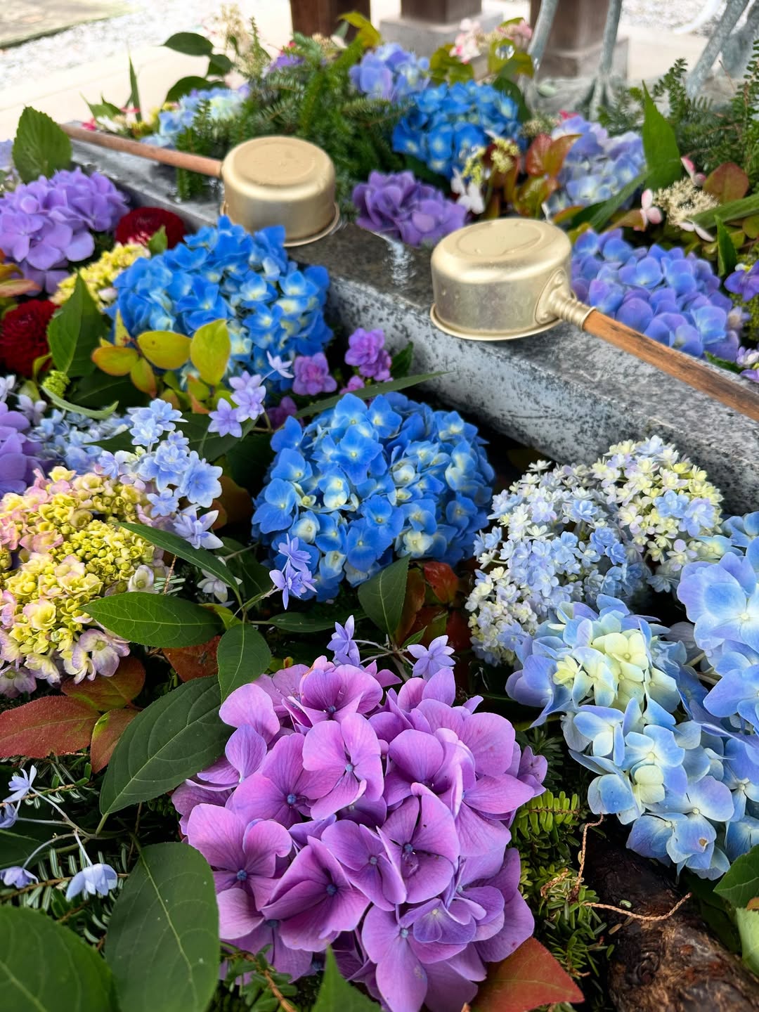 花手水のご案内✨