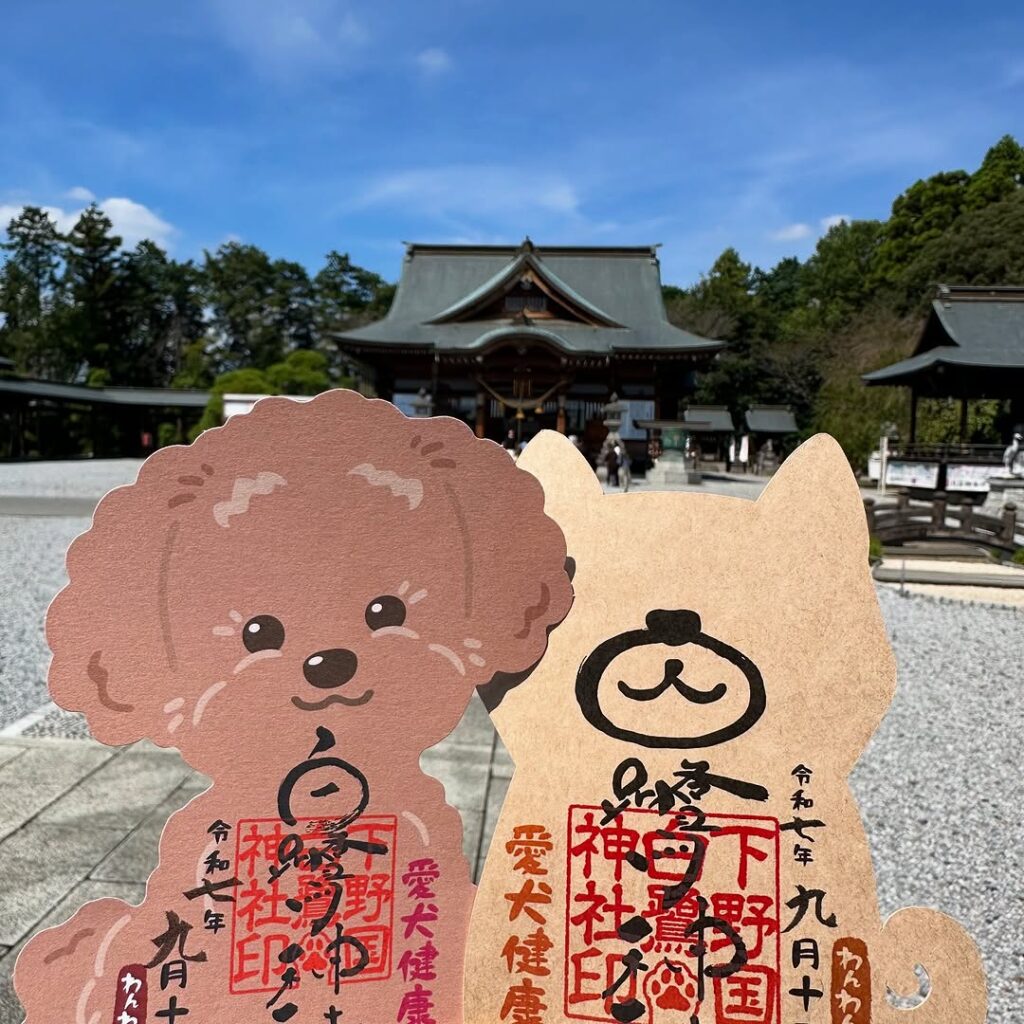 わんわん御朱印・犬形代のご案内🐕