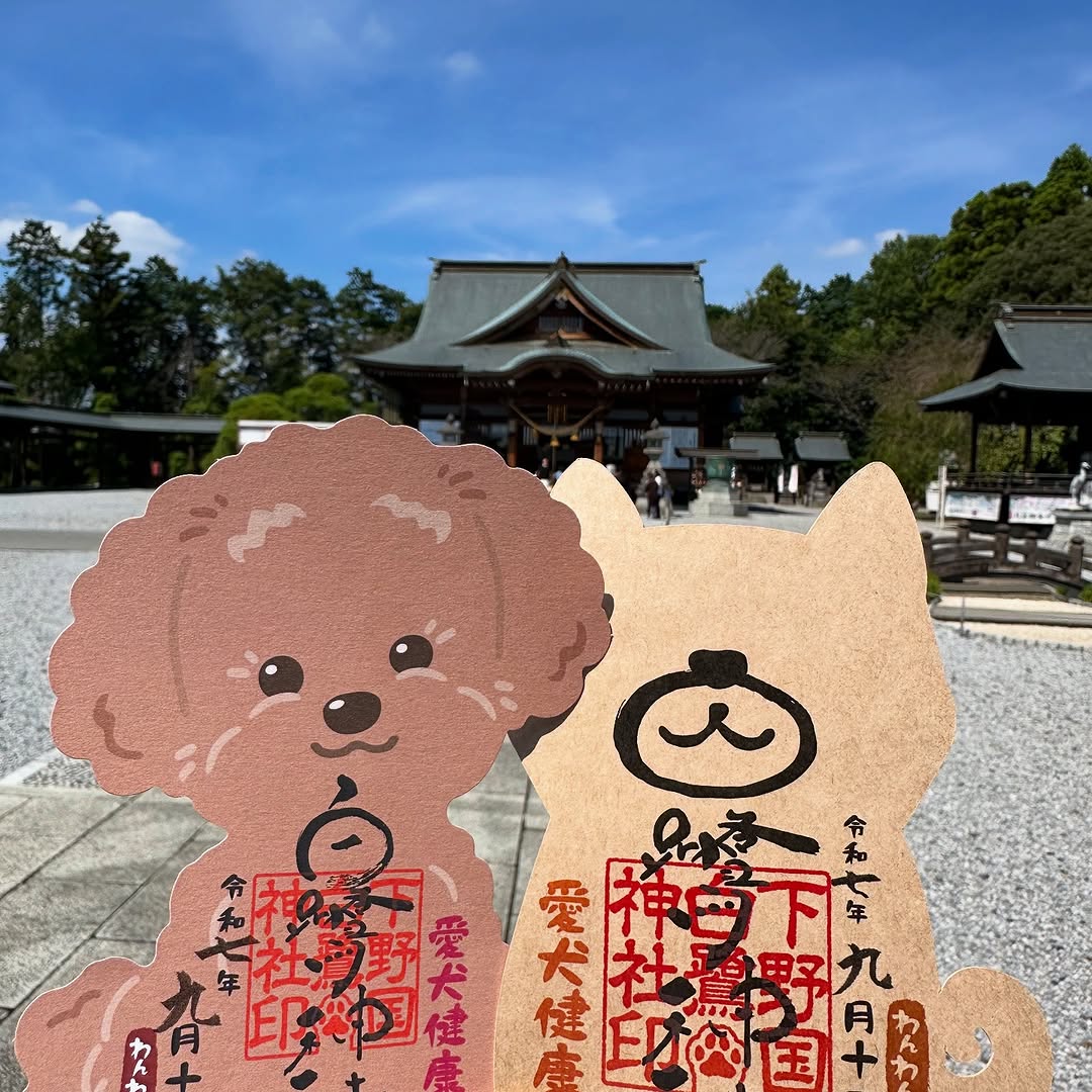 わんわん御朱印・犬形代のご案内🐕