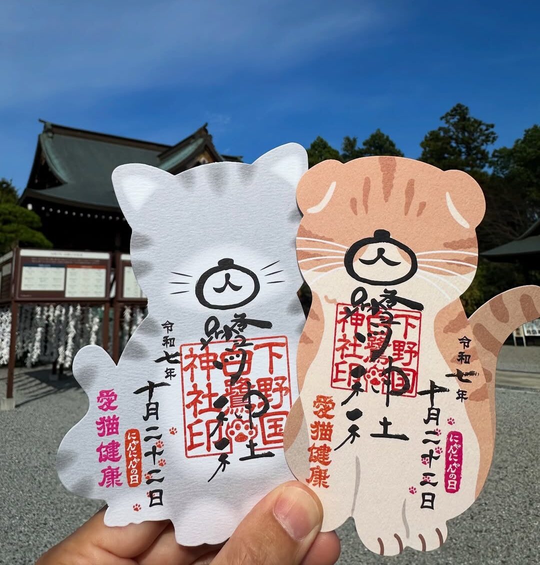 にゃんにゃん御朱印・猫形代のご案内🐈