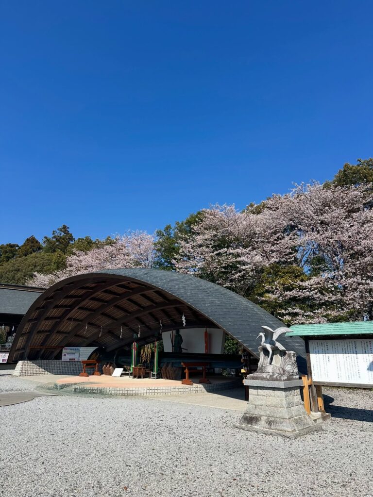 境内の桜が見頃です