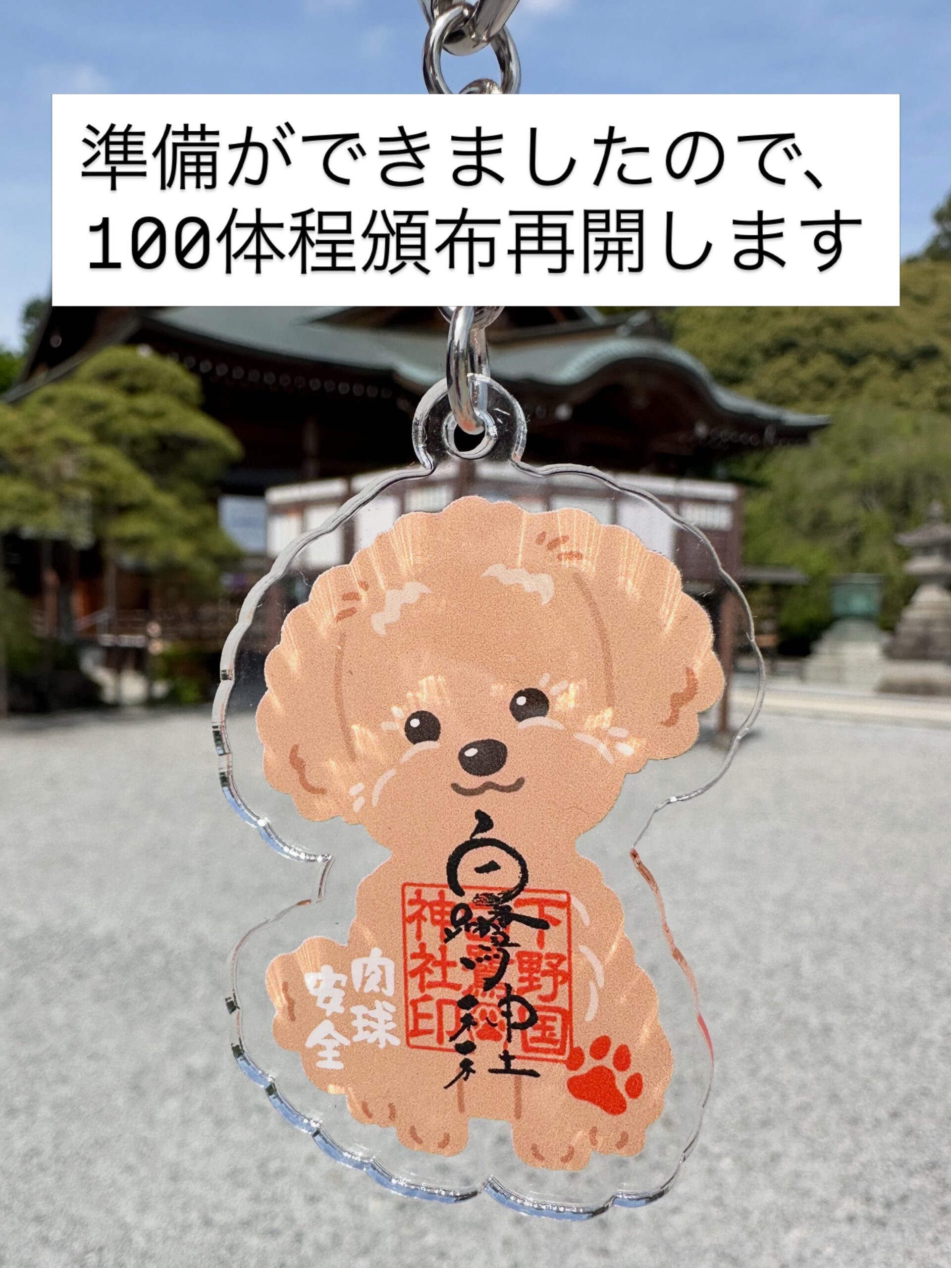 「ワンニャンみくじ」のご案内（犬）🐕