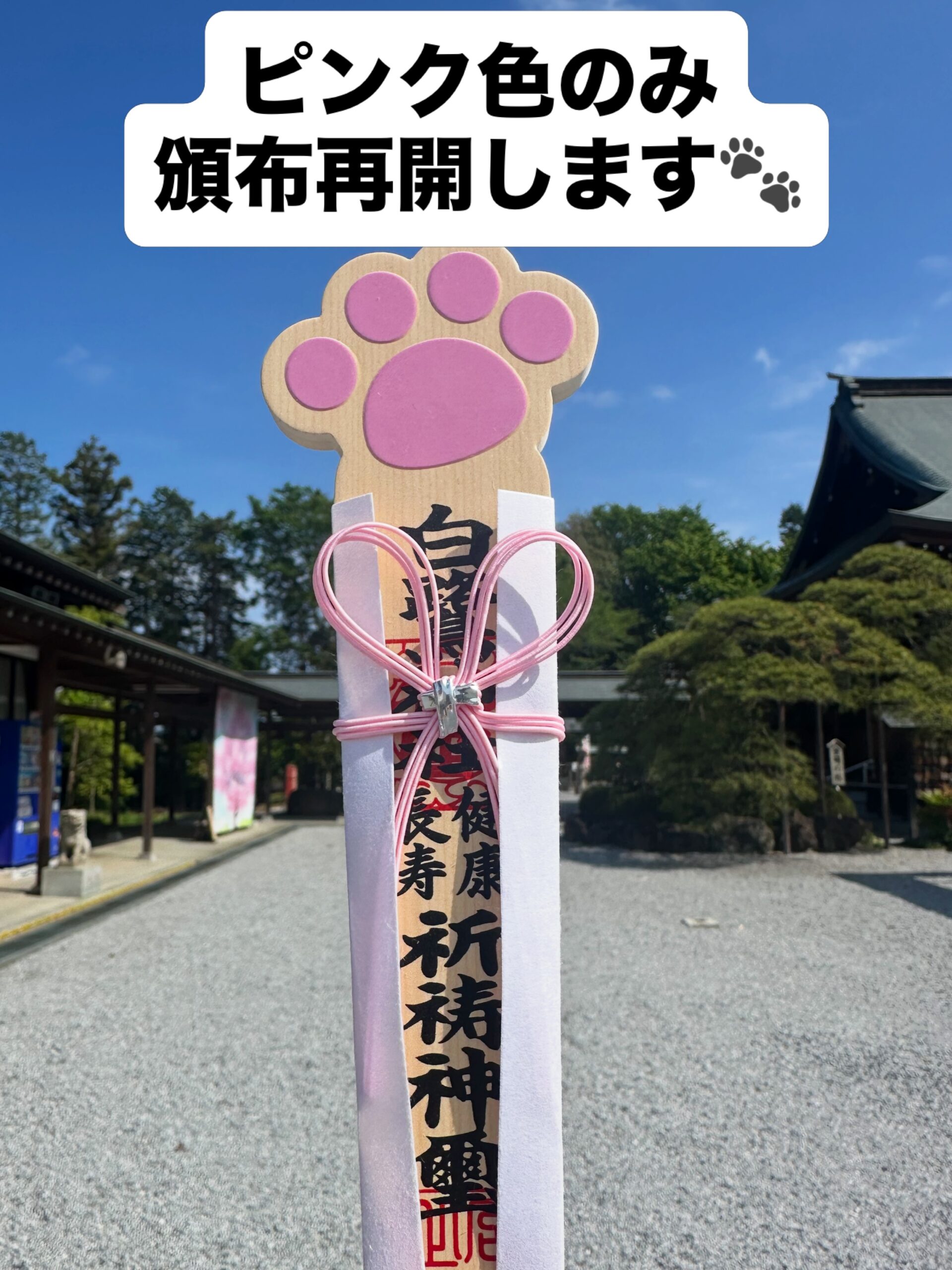 『健康長寿』肉球ペット札のご案内