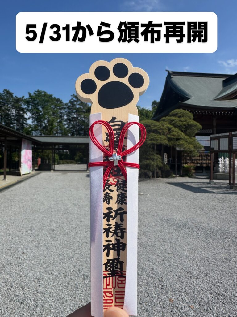 頒布開始より大反響の肉球ペット札