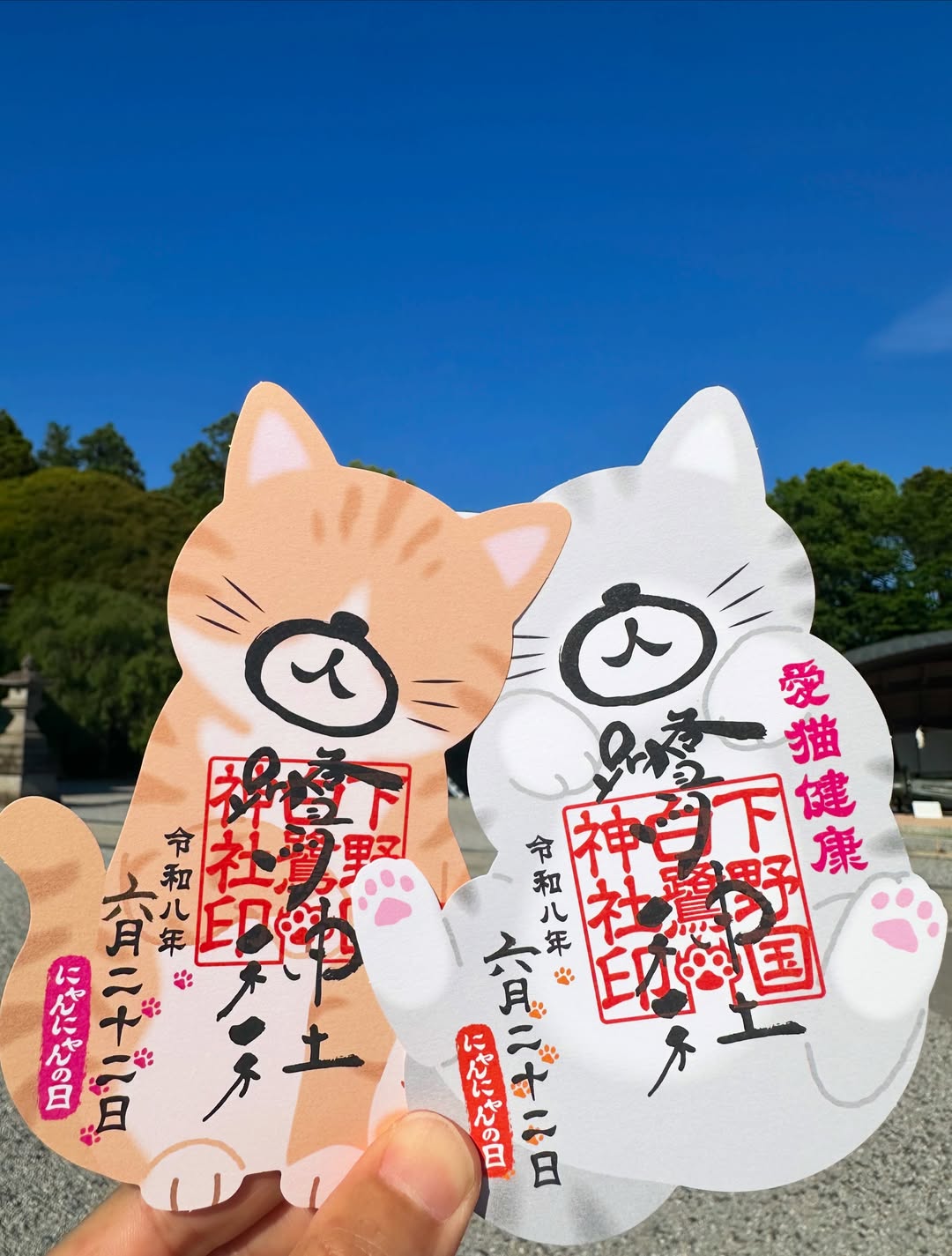 にゃんにゃん御朱印のご案内
