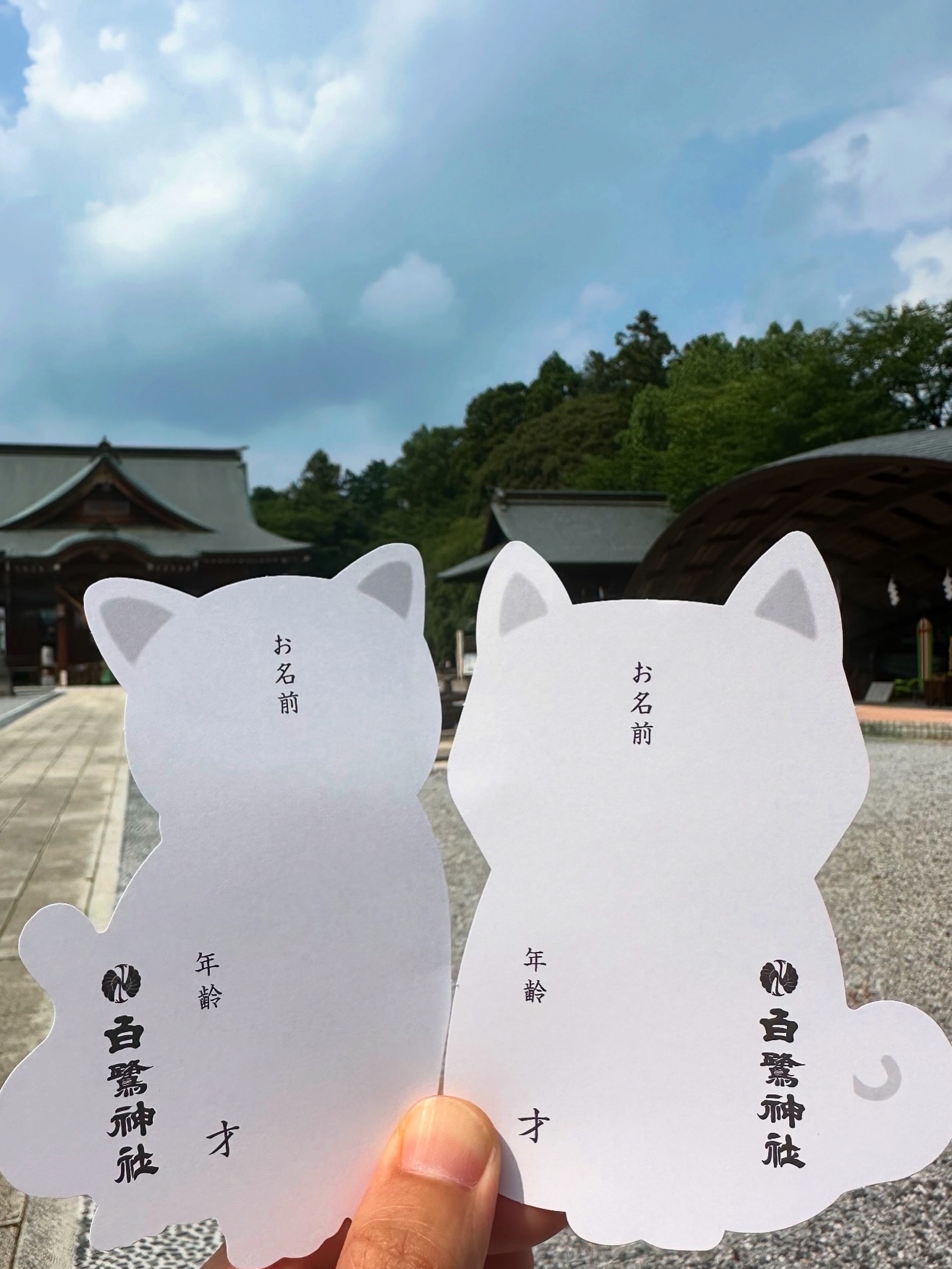 犬・猫形代（いぬ・ねこかたしろ）のご案内⛩️