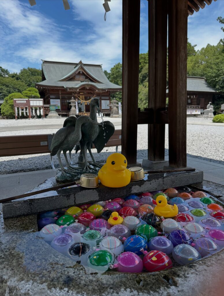 白鷺神社「夏詣」概要その３