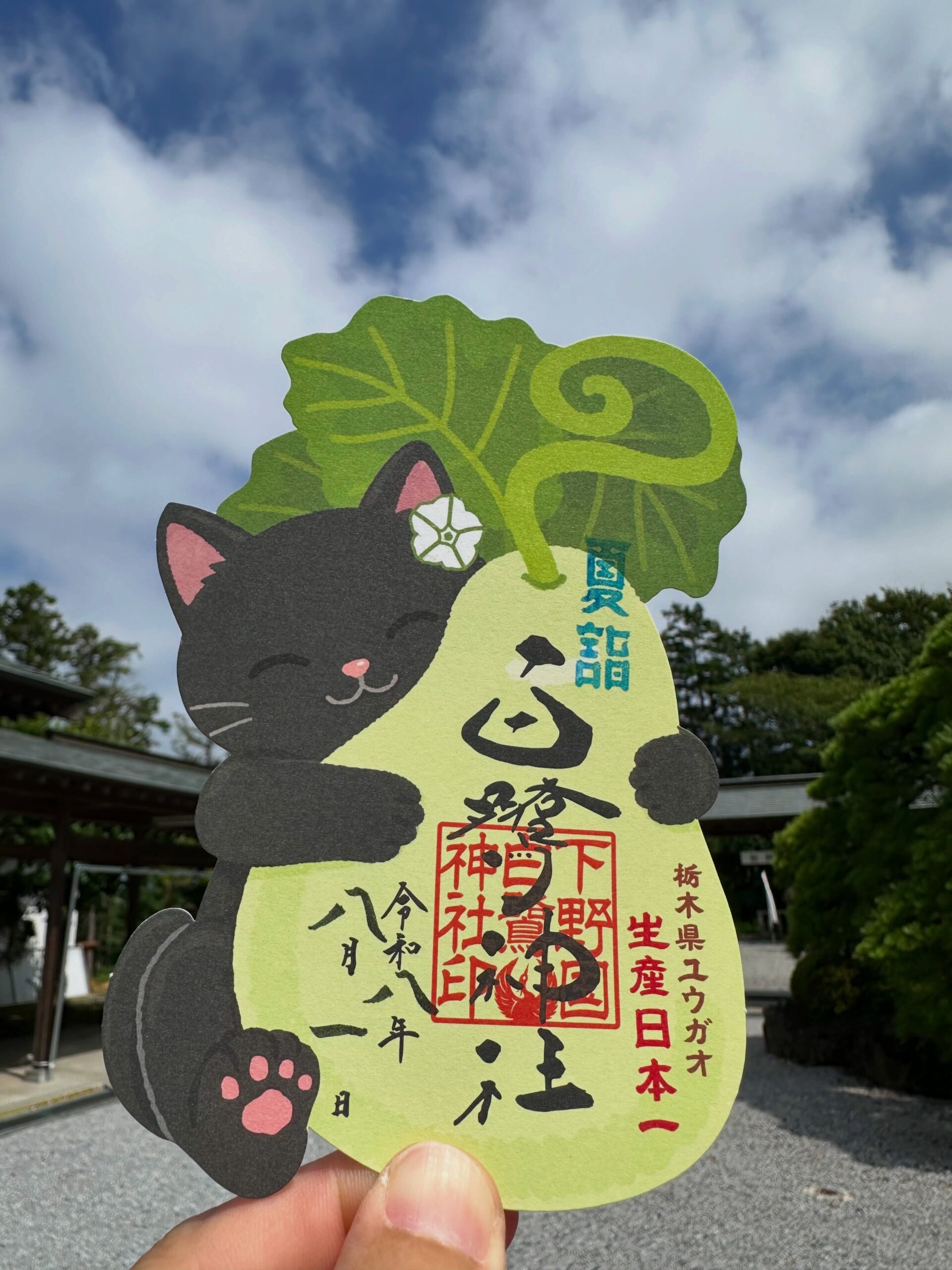「ユウガオ御朱印」のご案内