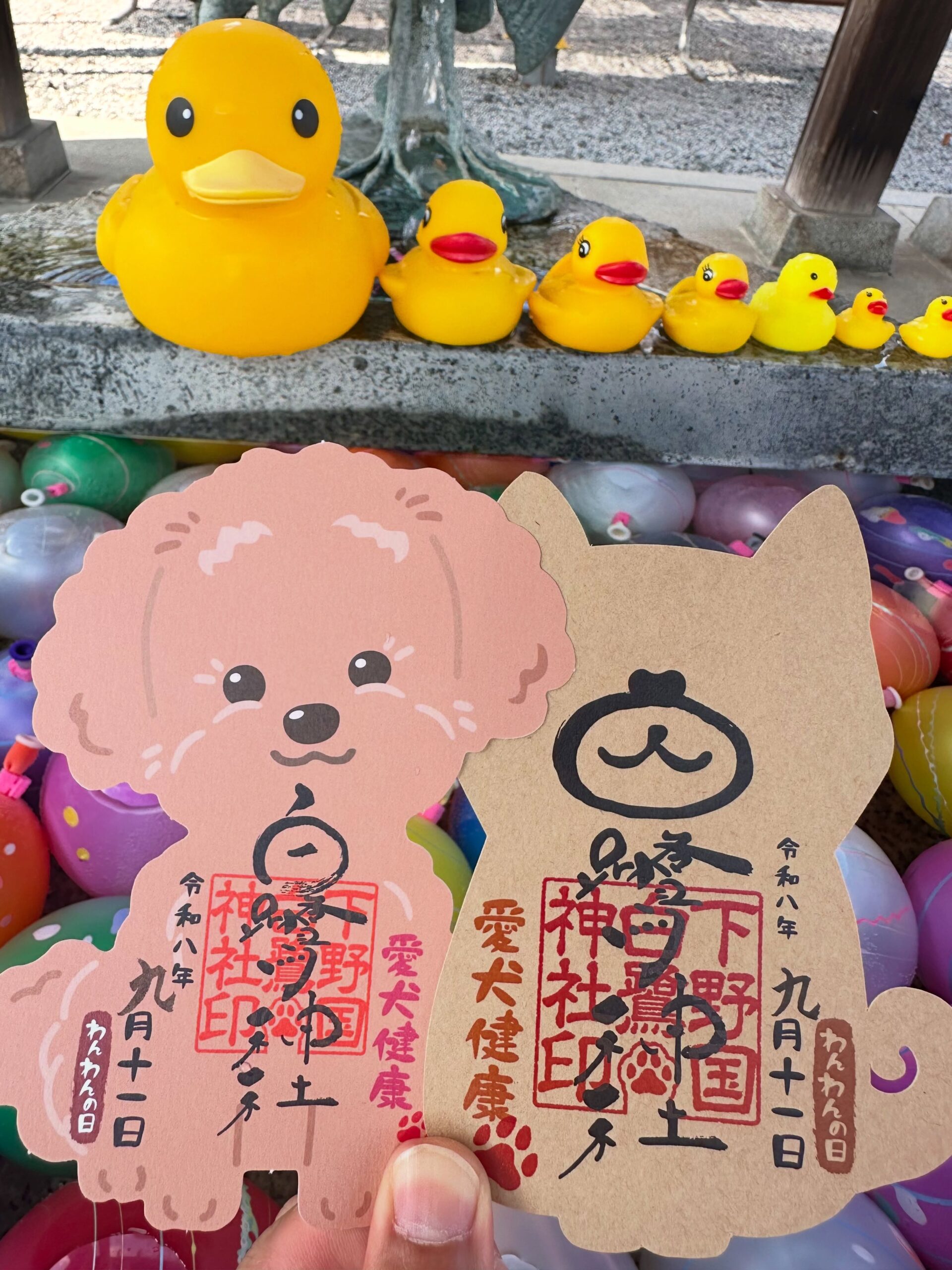 わんわん御朱印のご案内
