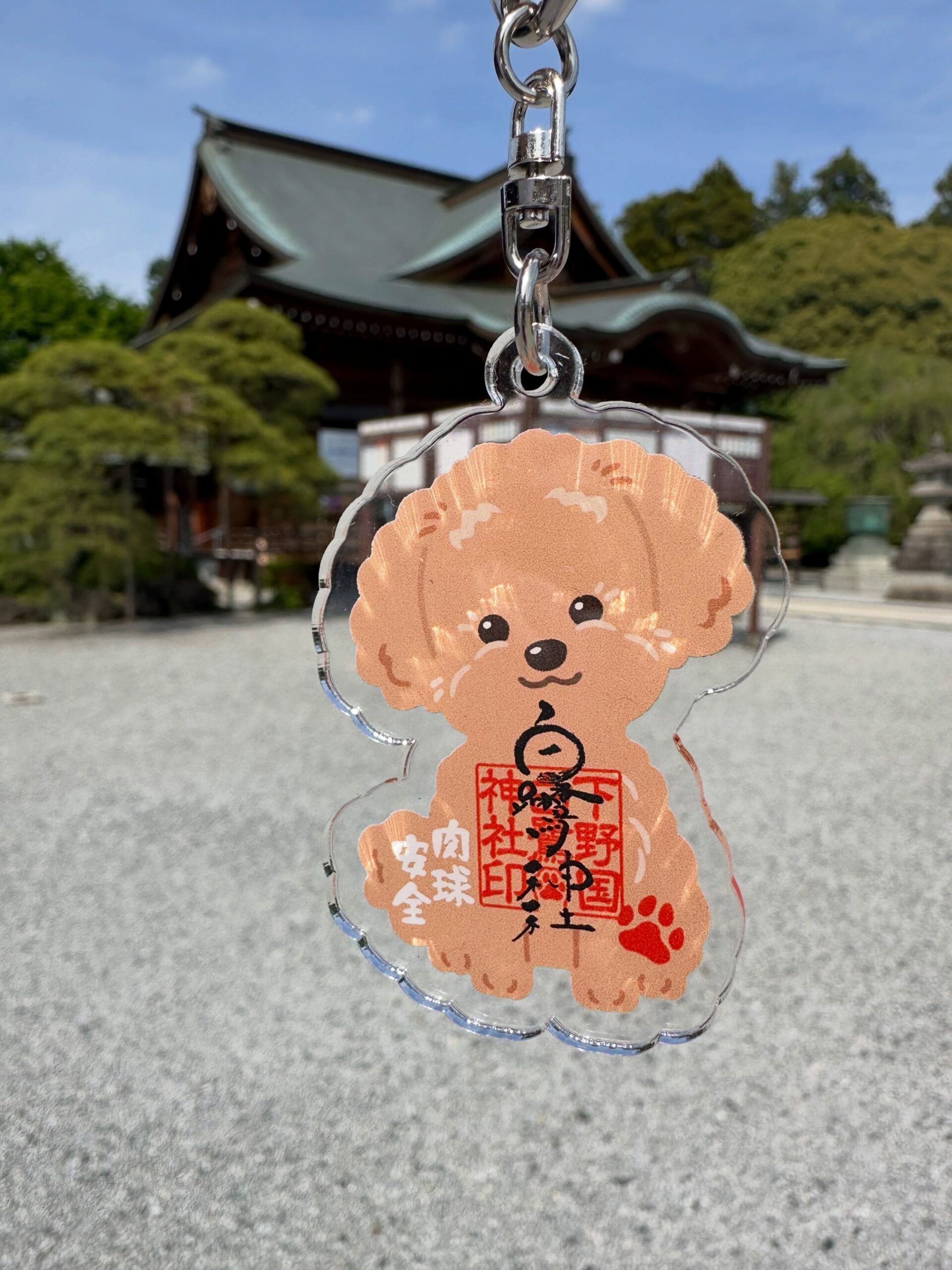 ワンニャンみくじのご案内