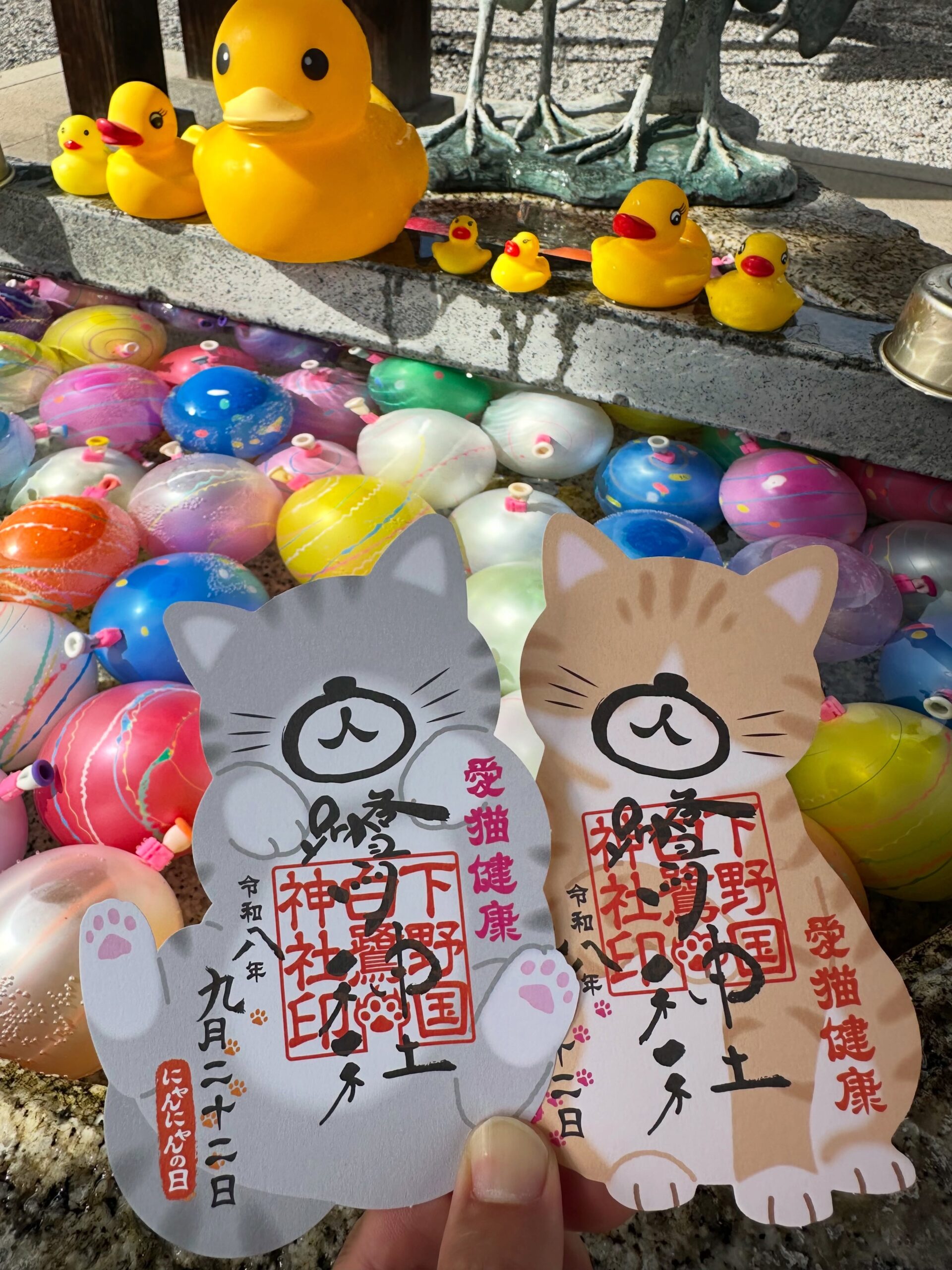 にゃんにゃん御朱印のご案内