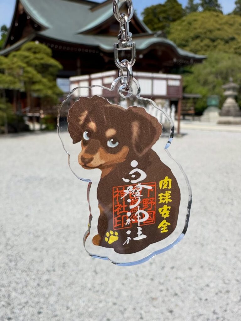 ワンニャンみくじのご案内