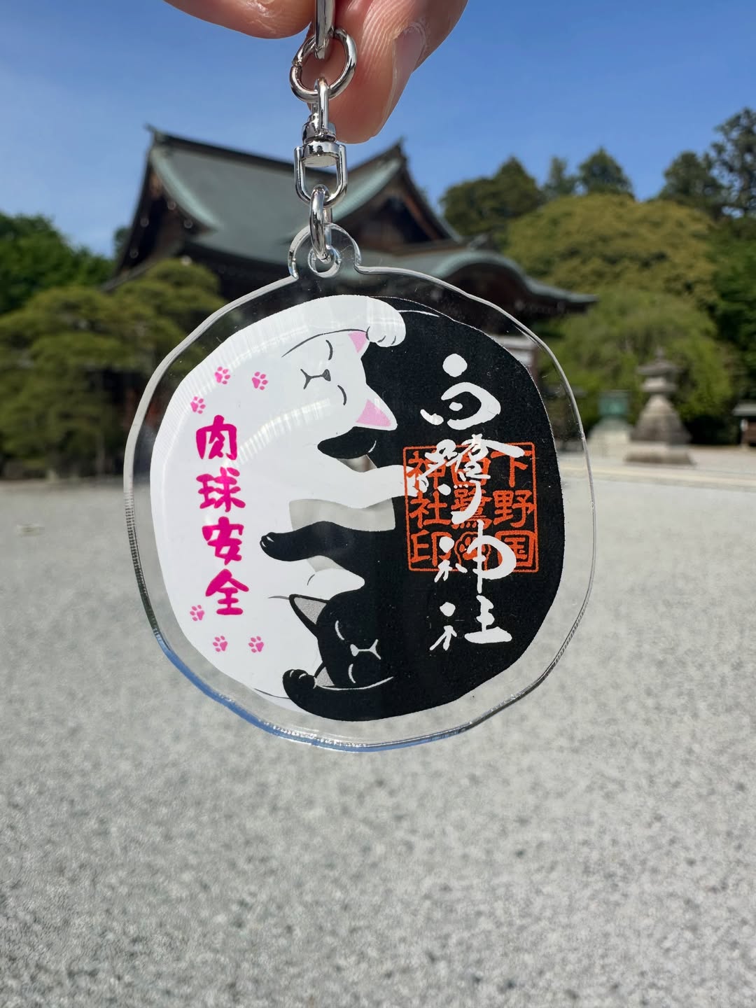 「ワンニャンみくじ」のご案内